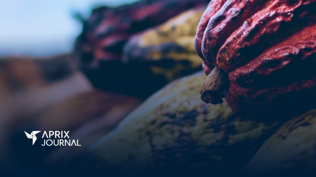 A imagem mostra de perto uma pilha de frutos de cacau, colhidos e expostos em uma mesa